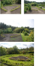 площадка сердце.png