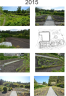 2015.png