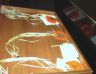 DSC03158.jpg