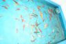 DSC01173.jpg