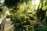 DSC01184.jpg
