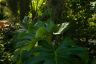 DSC01185.jpg