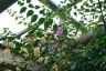 DSC01186.jpg