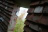 DSC01214.jpg