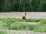 DSC04820.JPG