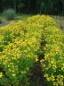 DSC07614.JPG