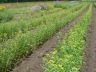 DSC07627.JPG