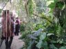 DSC04044.jpg