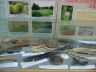 DSC04047.jpg